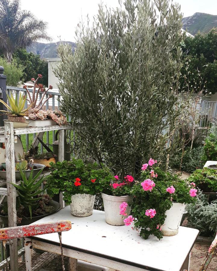 Nerf-Af Rooms And Cottage At Onrus , Hermanus Luaran gambar
